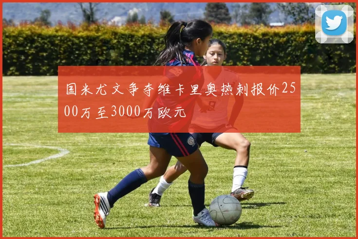 国米尤文争夺维卡里奥热刺报价2500万至3000万欧元